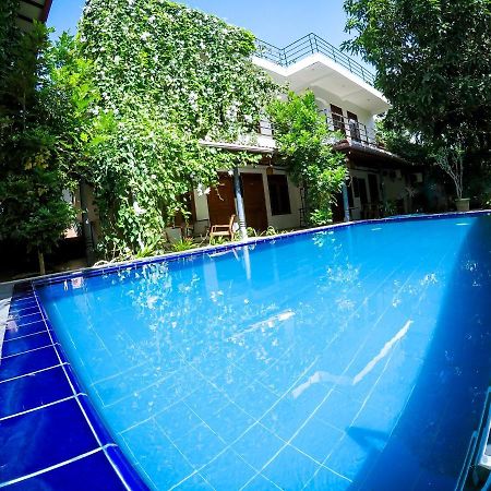 Mirissa Blue Whale Holiday Hotel Экстерьер фото