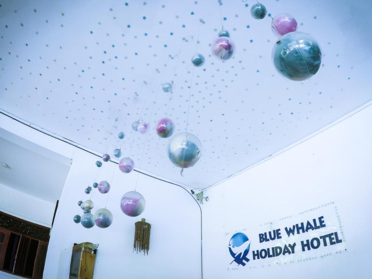 Mirissa Blue Whale Holiday Hotel Экстерьер фото