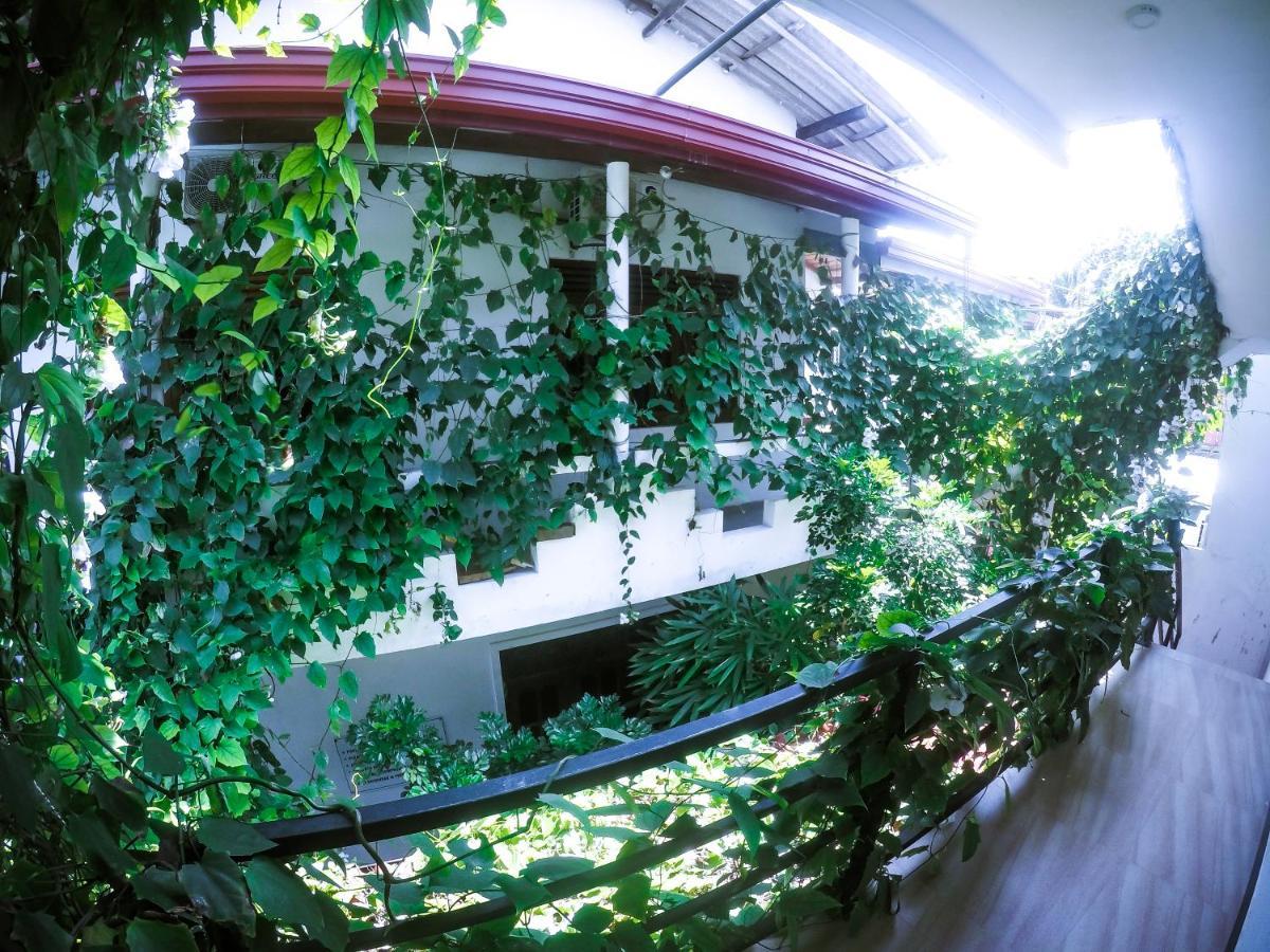 Mirissa Blue Whale Holiday Hotel Экстерьер фото