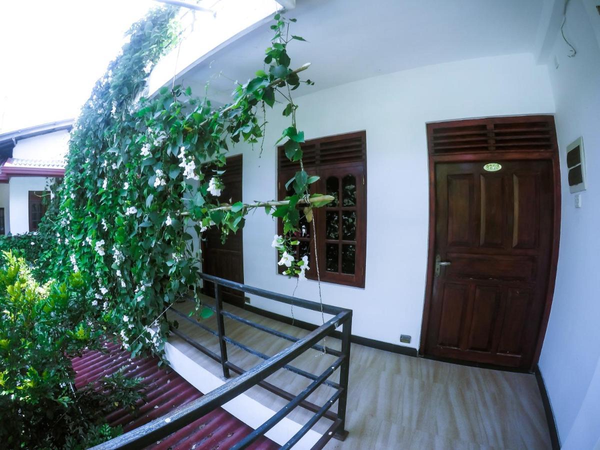 Mirissa Blue Whale Holiday Hotel Экстерьер фото
